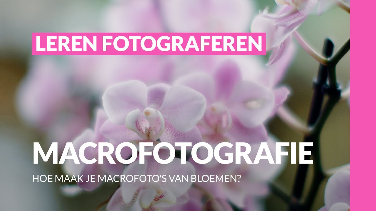 Как делать макроснимки цветов | Макрофотография | Обучение фотографии
