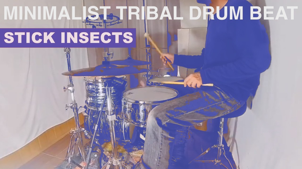 Minimalist Hypnotic Drum Beat with Drum Mallet and Drum Stick | Stick Insects
