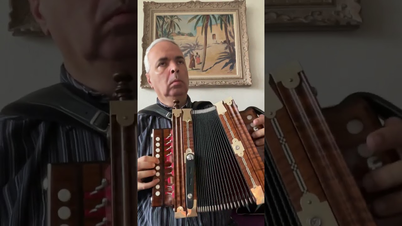 Double ornament of F&aacute;g an Bealach. (Cajun Accordion Martin) #lygeros #acordeon #music #learn #shorts