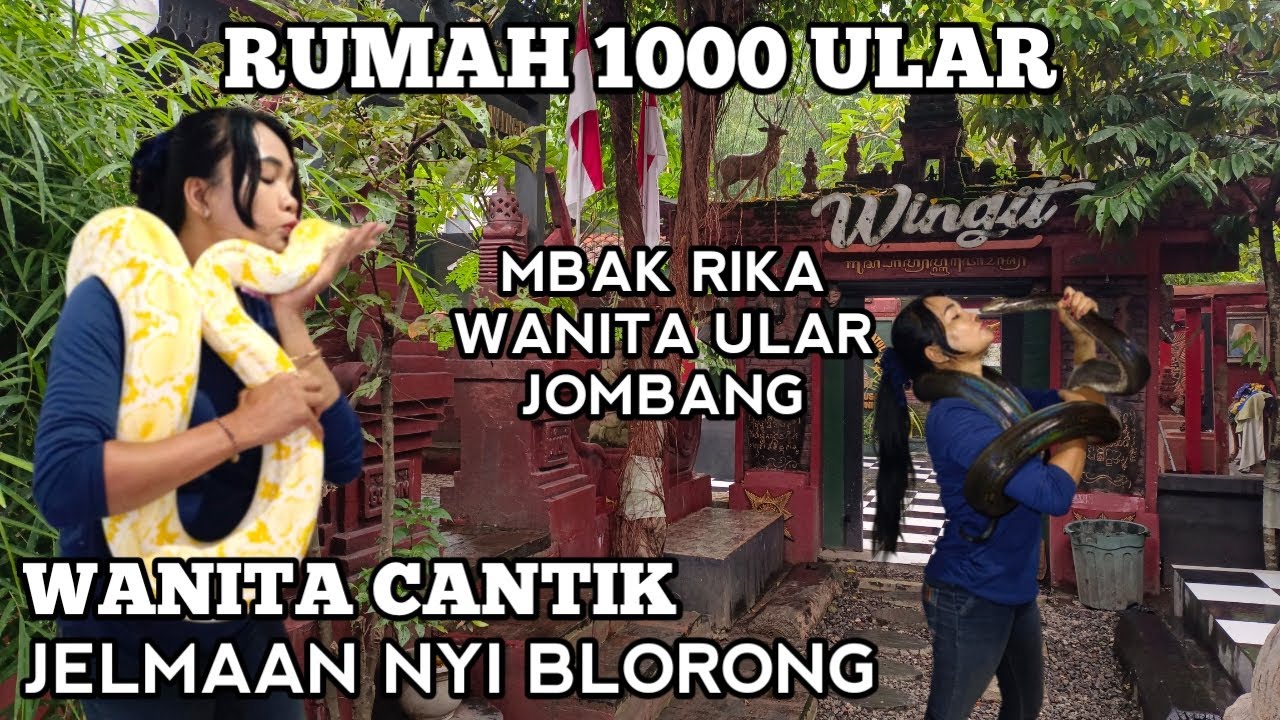 Rumah 1000 Ular Wanita Cantik Jelmaan Nyi Blorong Mbak Rika Wanita Ular Jombang
