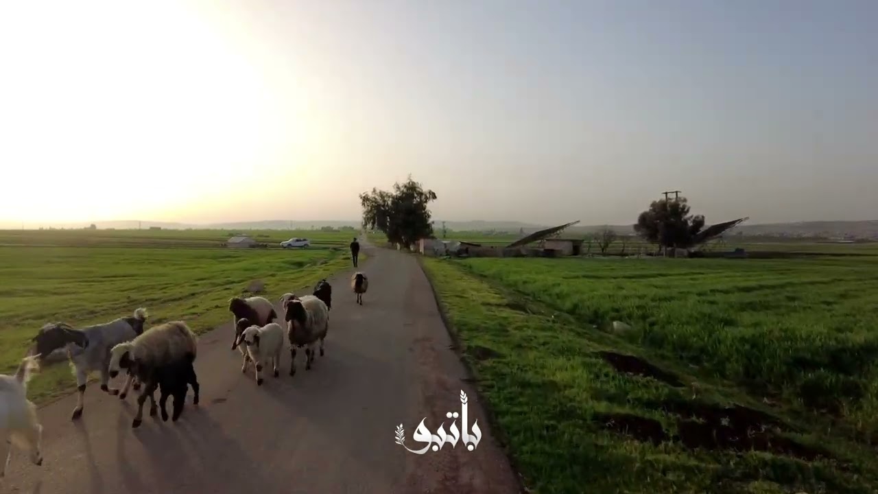إطلالة ساحرة وأجواء ربيعية من تل نواز حتى مدخل بلدة باتبو