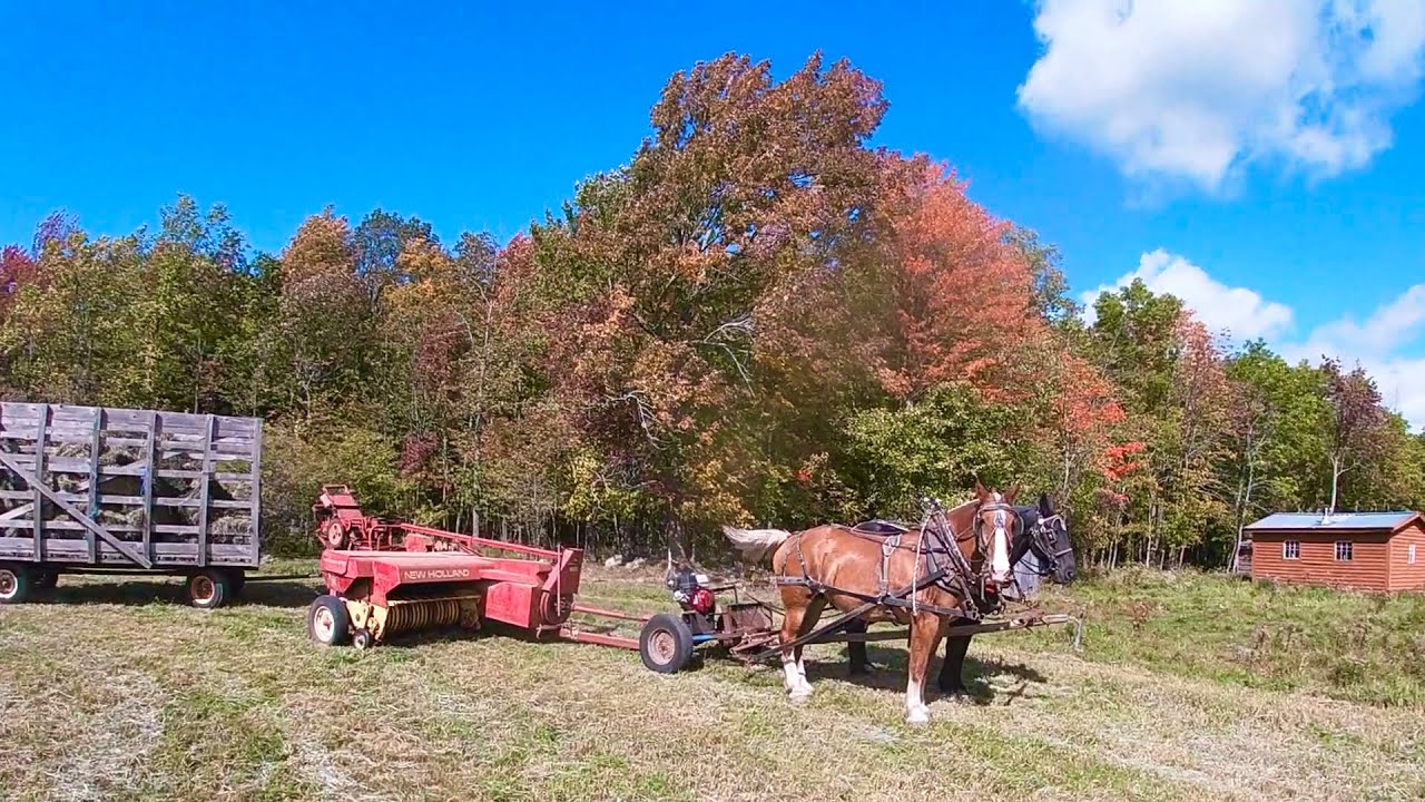 Baling Hay With Horses