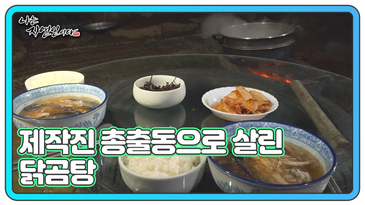 산속에서 벌어진 닭곰탕 대참사 MBN 260316 방송