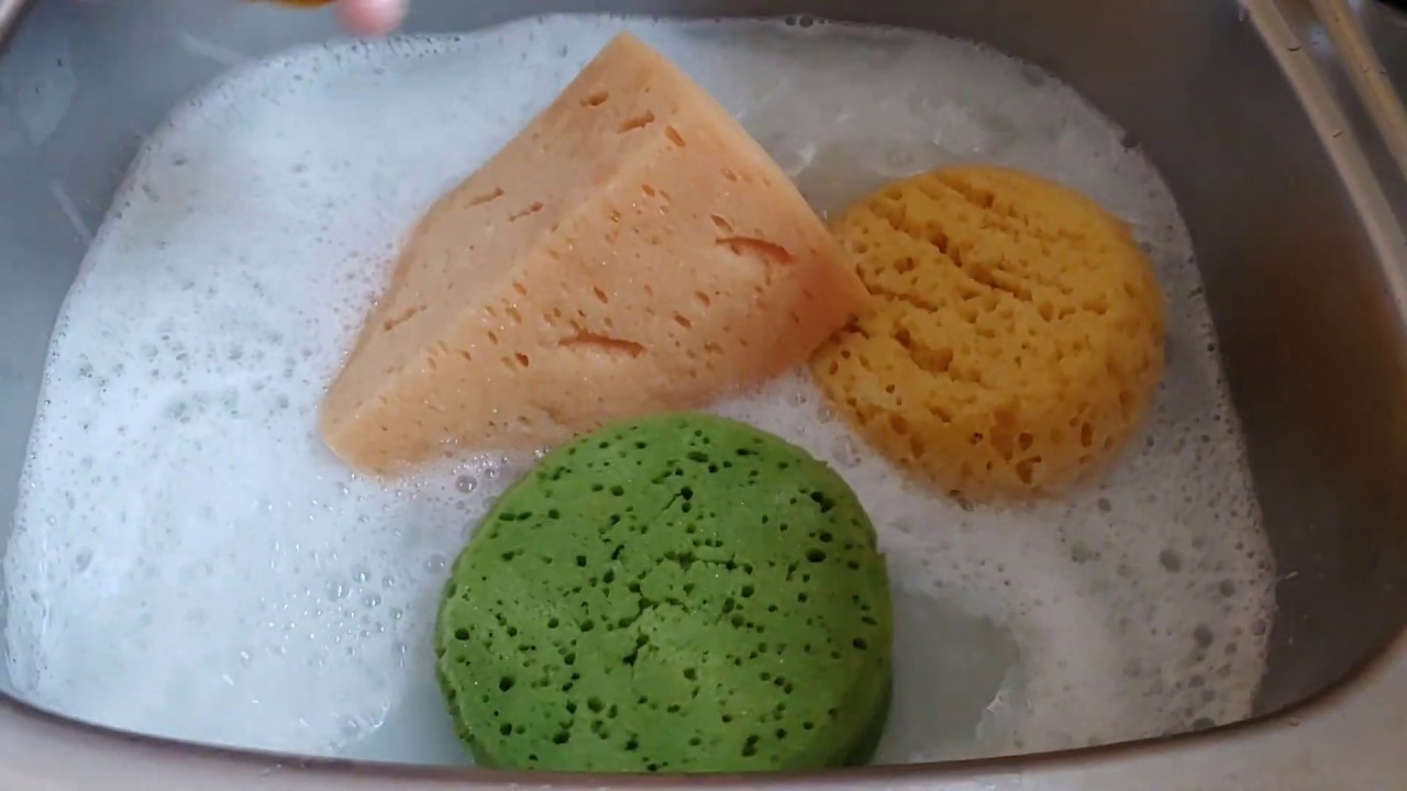 Pinalen Sponge Rinsing
