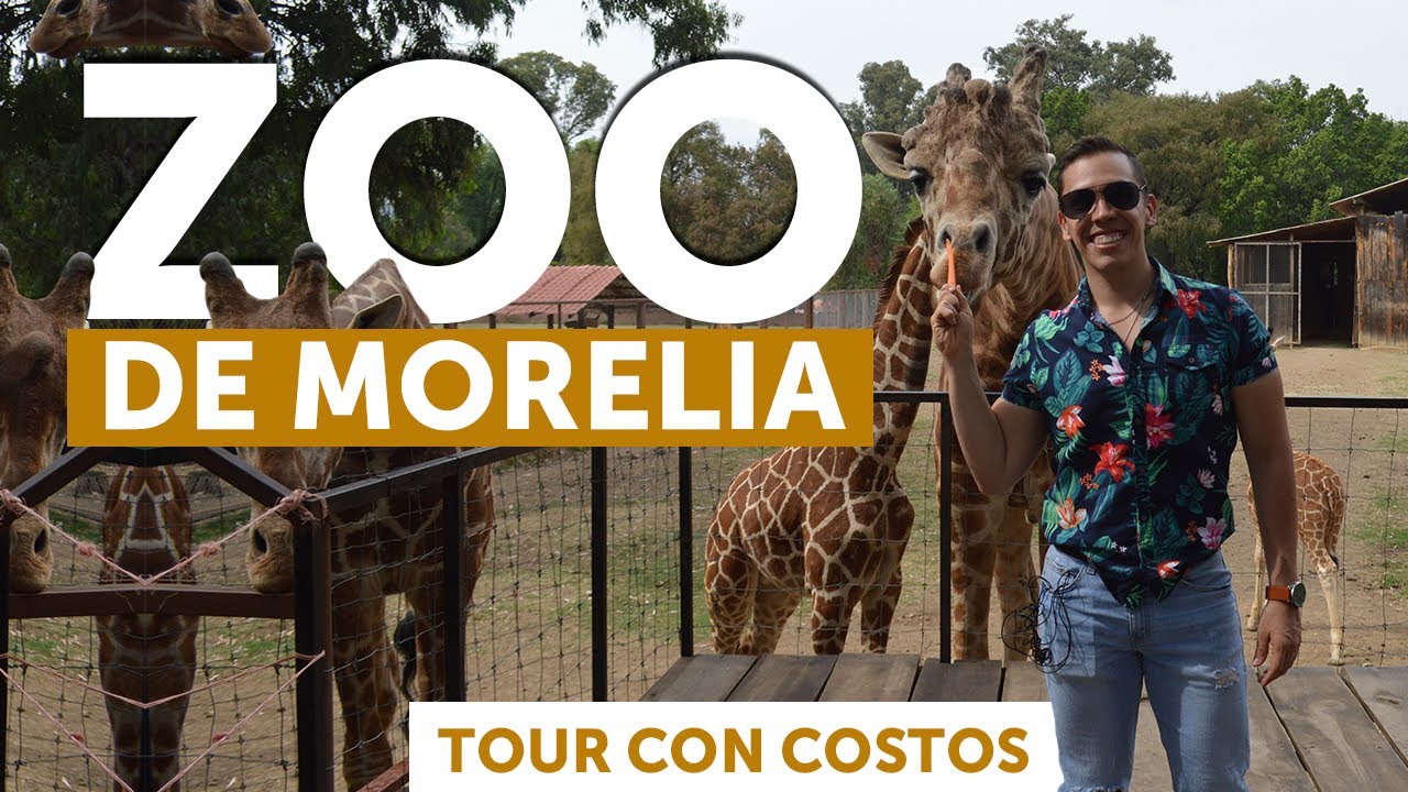 Zoologico de morelia michoacan 2026