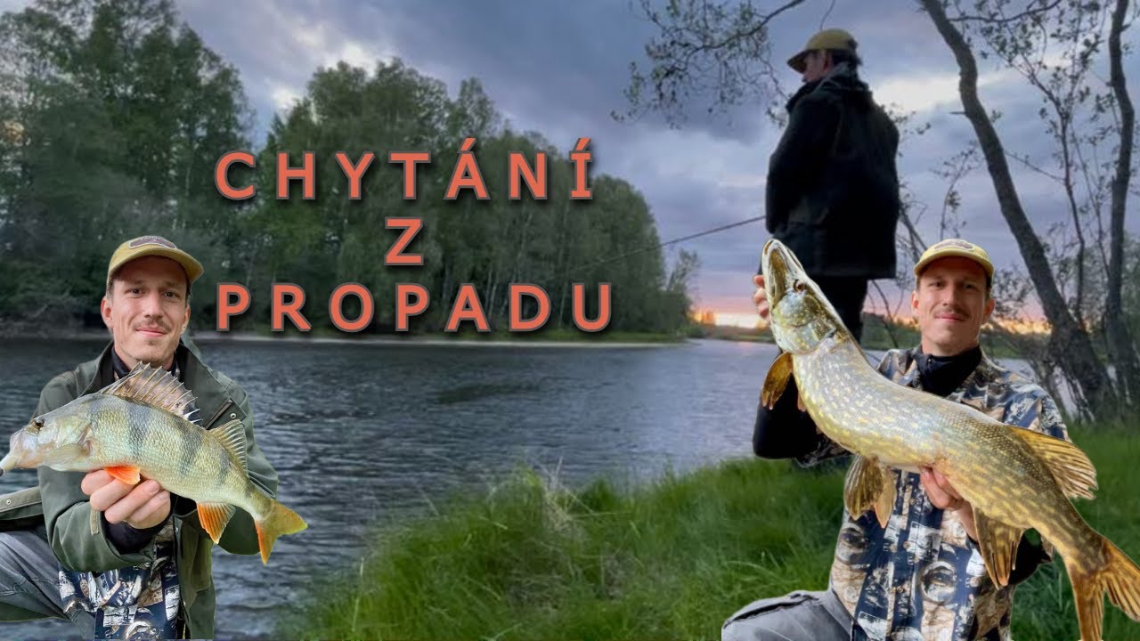 Večerní PŘÍVLAČ na ŘECE. První návštěva nového místa mi přinesla pěkné ryby.