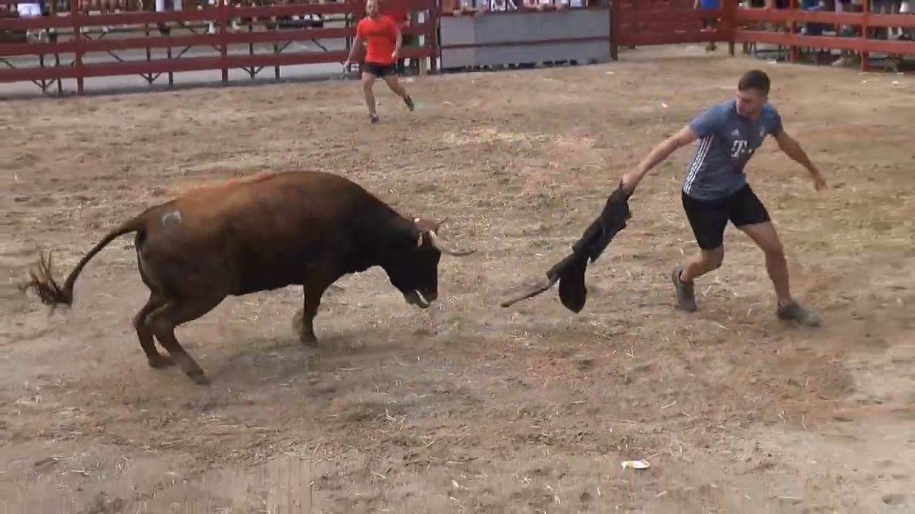 1ª PARTE VACAS PLAZA EN BUÑUEL (NAVARRA) HNOS. MAGALLON                17- 08 -2022