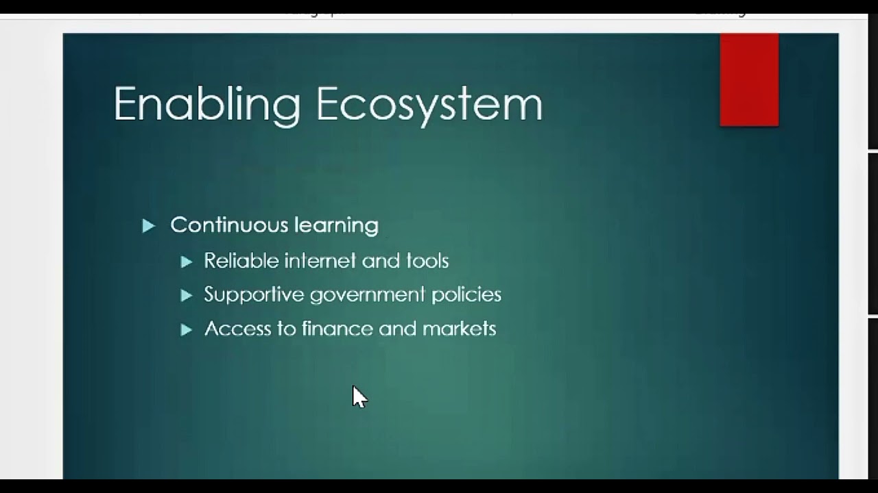 Turning Digital Skills into Sustainable Businesses