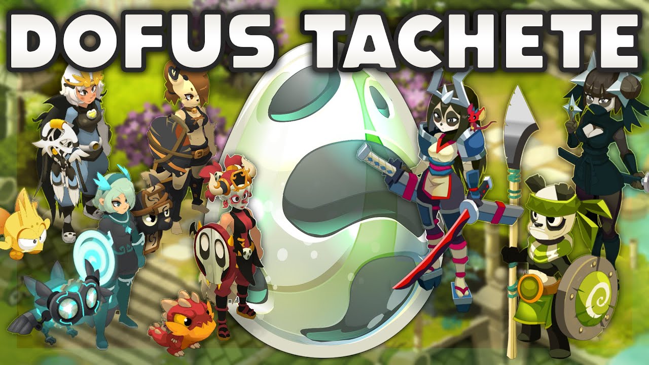 DOFUS TACHET&Eacute; - Update de Team & Tutoriel