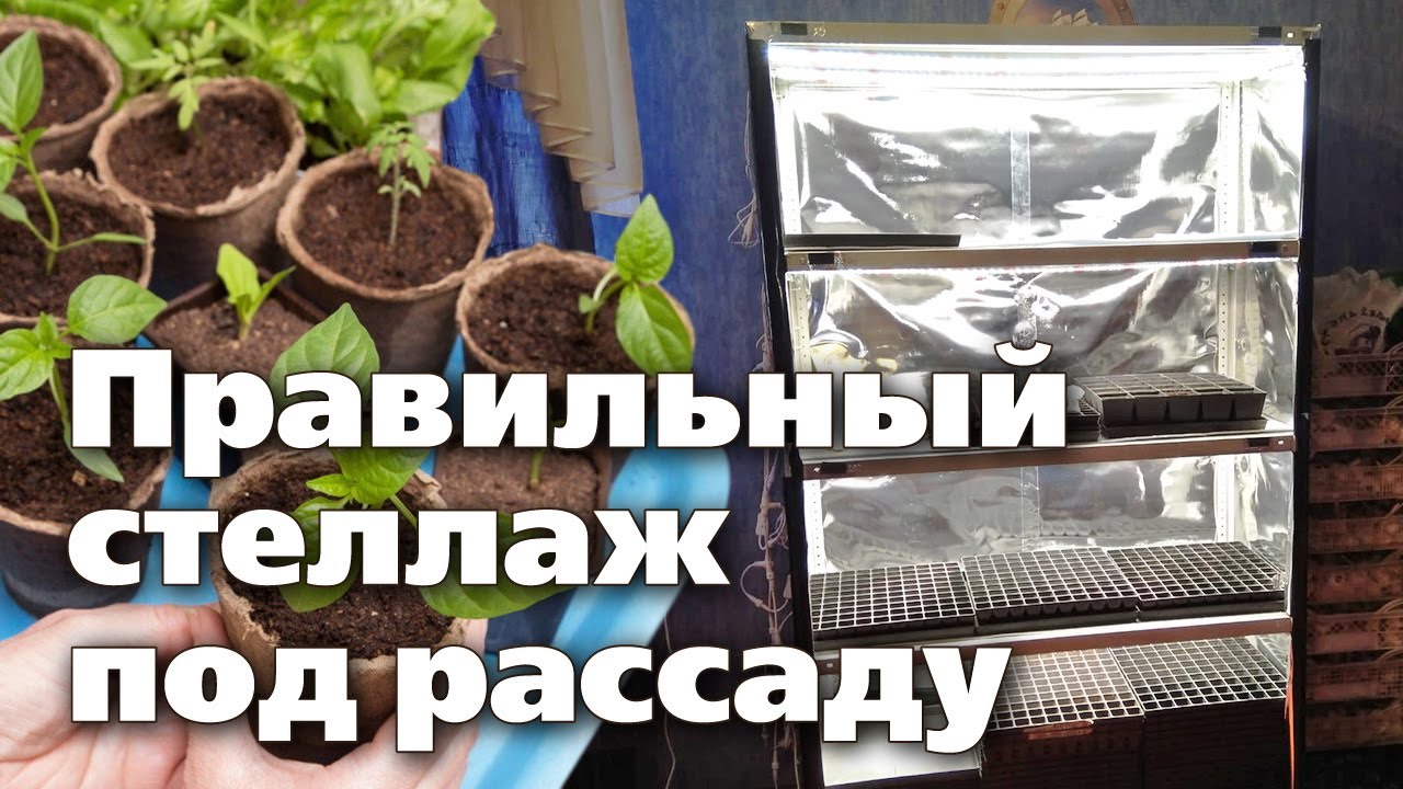 Как самому сделать стеллаж для рассады. Растения будут довольны!