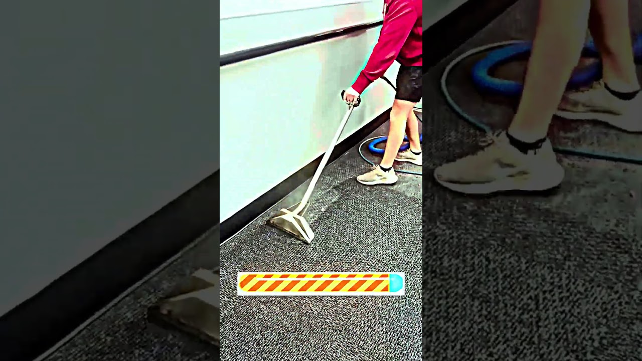 Carpet Cleaning is Too Satisfying!?