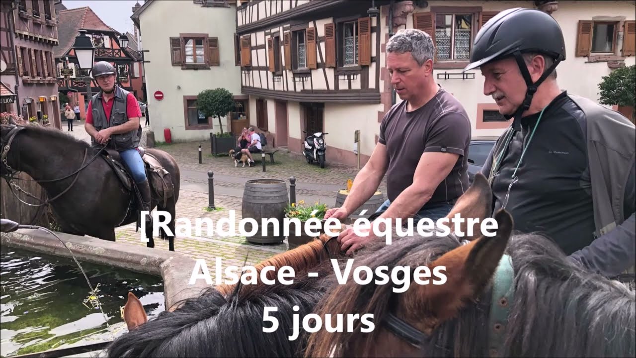 randonnée équestre Vosges Alsace