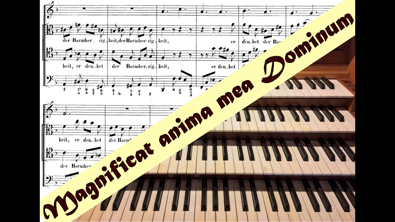 J. S. Bach: Meine Seele erhebt den Herren BWV 648 (Schübler) | DOMORGEL ESSEN