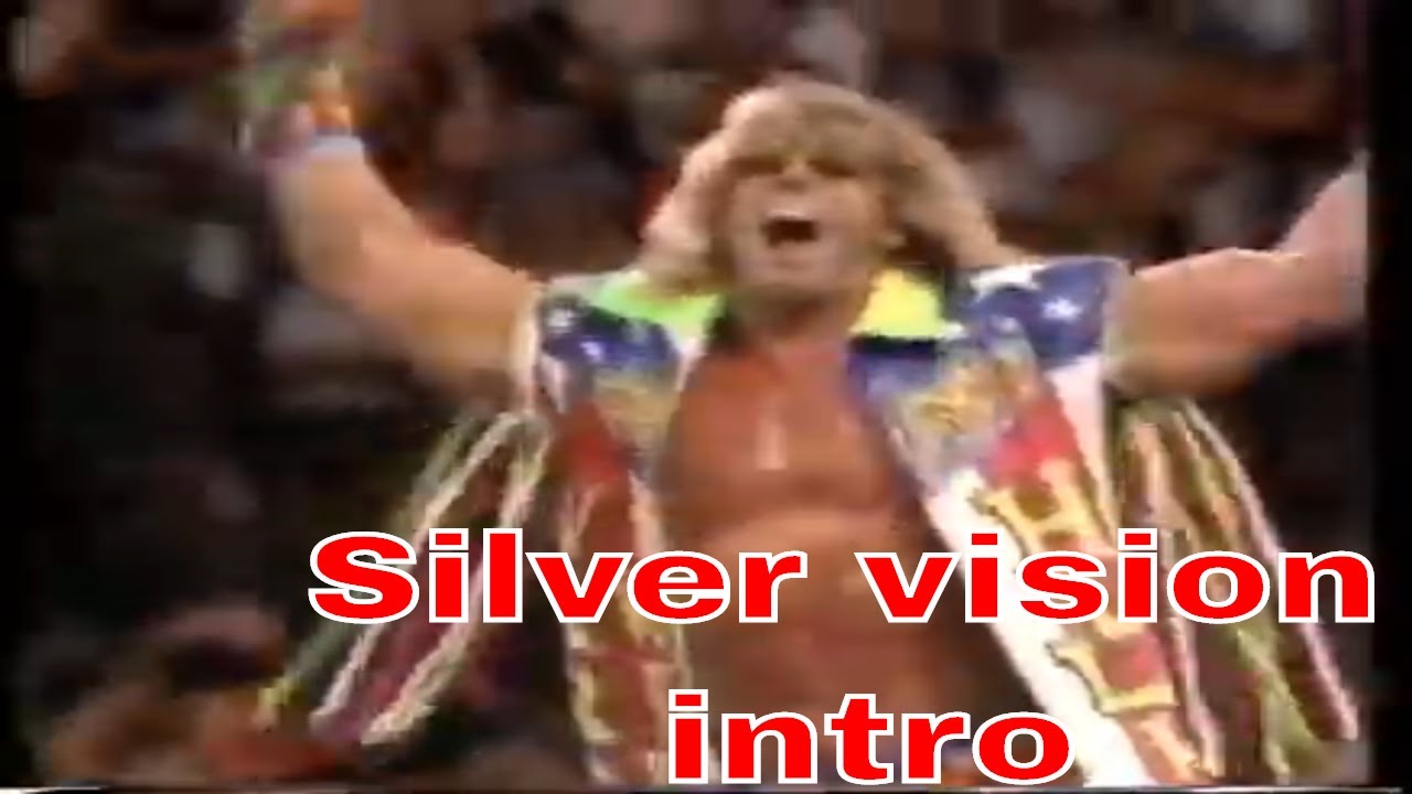 Silver vision WWF custom