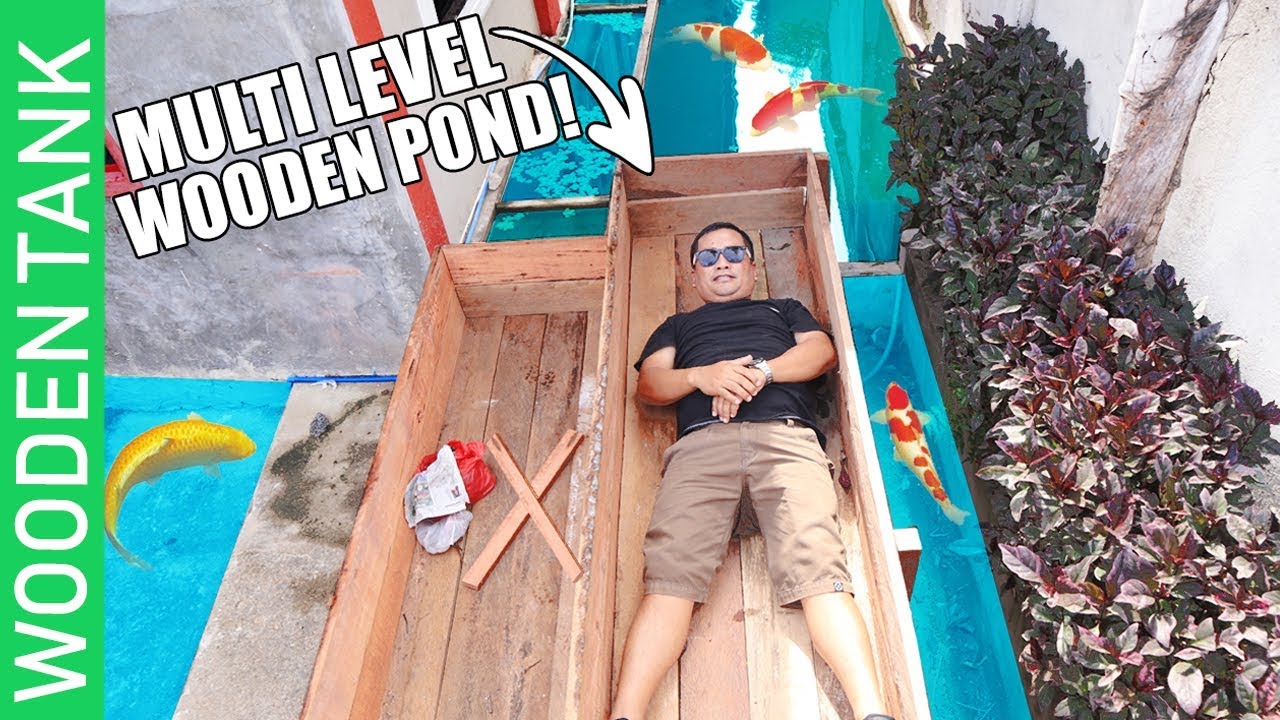 MY DIY MULTILEVEL WOODEN POND👍🏻👍🏻 & JAPANESE KOI, MOLLY, BETTA FISH (update)