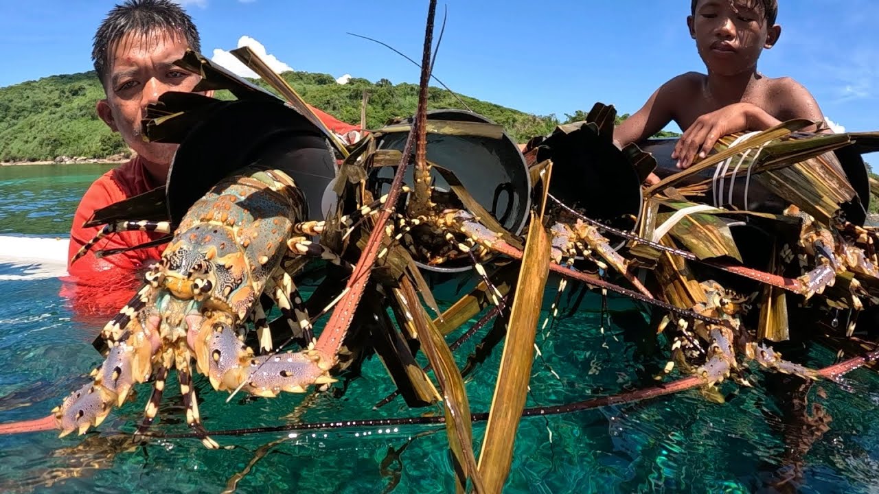 Part I - Mano Mano Sa Panghuhuli Ng Lobster