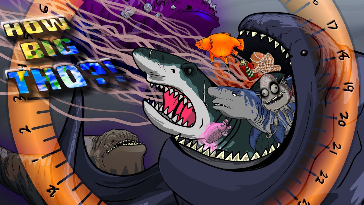 Bloop Size Comparison 3 - Jellyfish, Ohio, MEGALODON?!