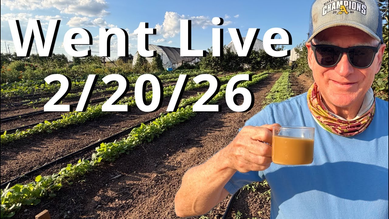 Spring Season Garden #organicgardening