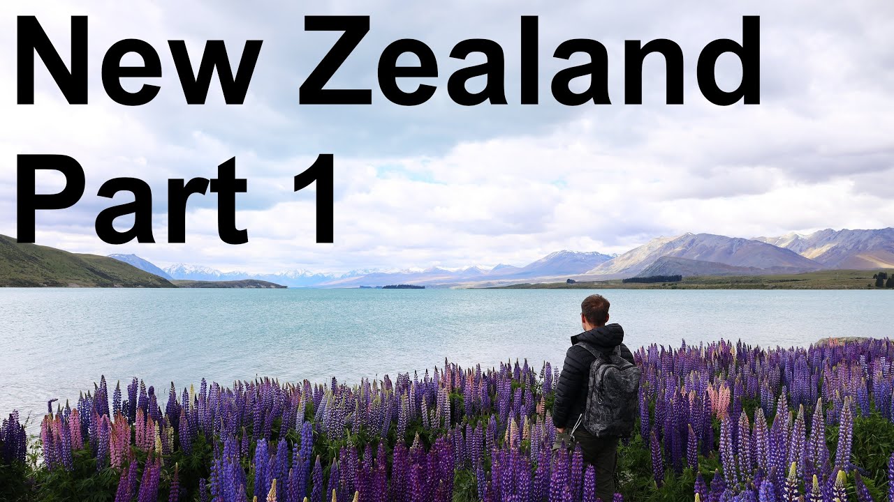 SideQuest in New Zealand Part 1 | The Journey Begins