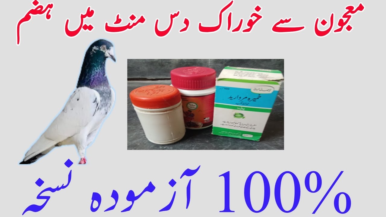 Food from potion digested in ten minutes 100% proven recipe that no one tells