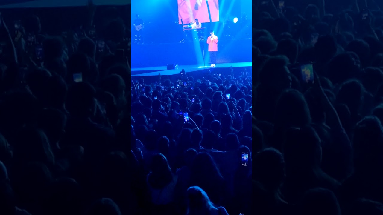Gazzelle - Punk (Live Roma Palalottomatica 28/01/2020)