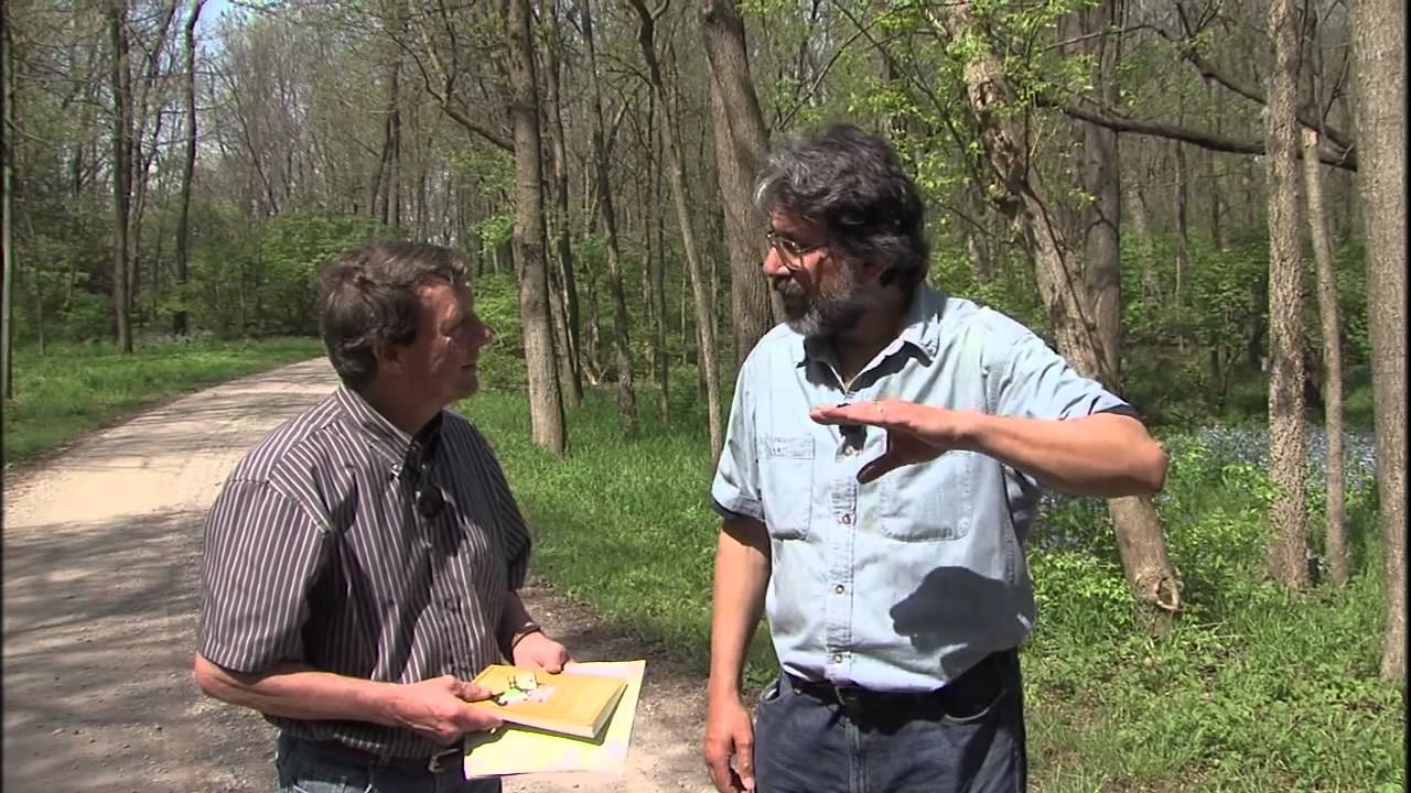 Истории Иллинойса | Elkhart Wildflowers | WSEC-TV/PBS Springfield