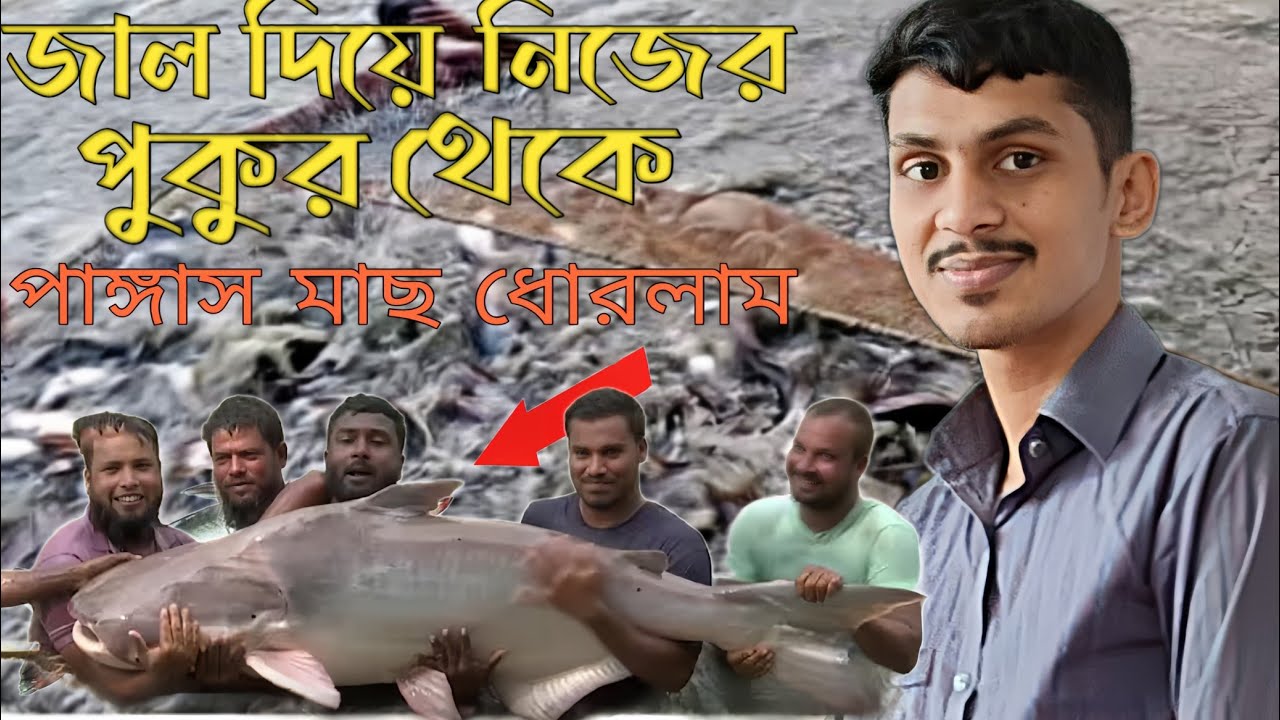 জাল দিয়ে নিজের পুকুর থেকে পাঙ্গাশ মাছ ধোরলাম fish farming in west Bengal 