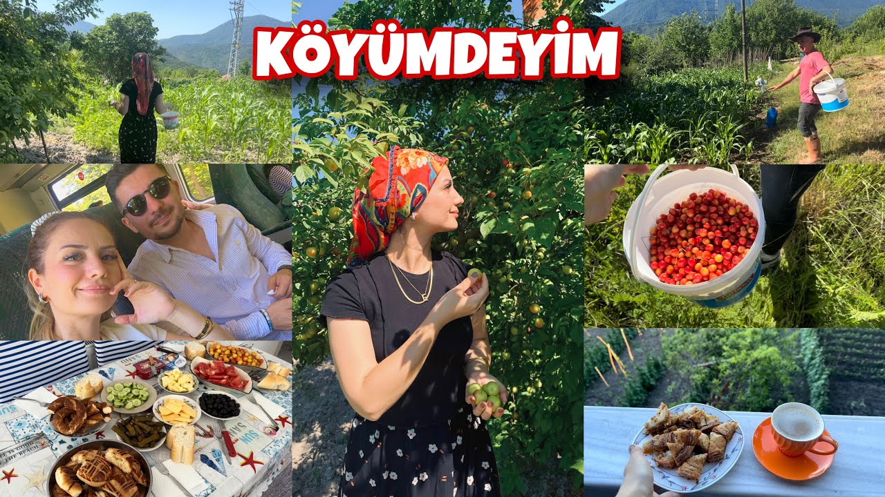 DALINDAN KİRAZLAR,ERİKLER😍KÖYDE KALABALIK GEÇEN BAYRAM😍TRENE SENELER SONRA BİNDİM🥹KUZENLERBULUŞTU
