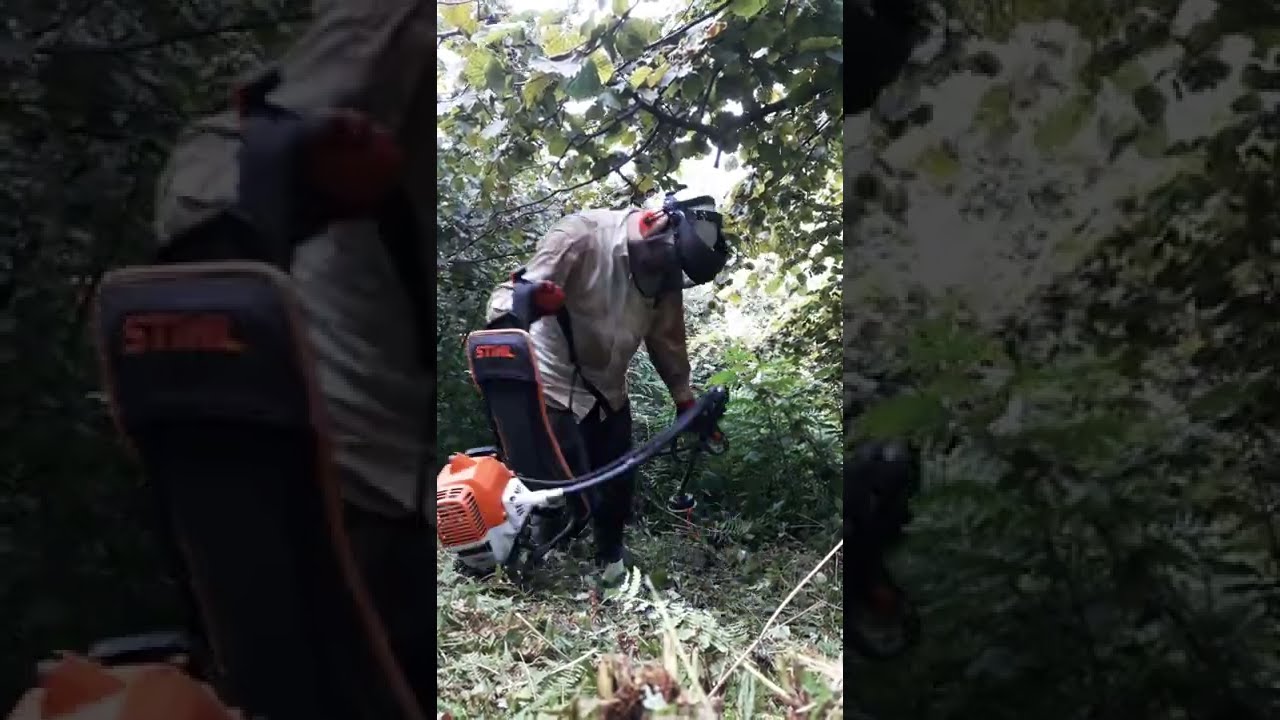 Stihl FR 235 Stihl