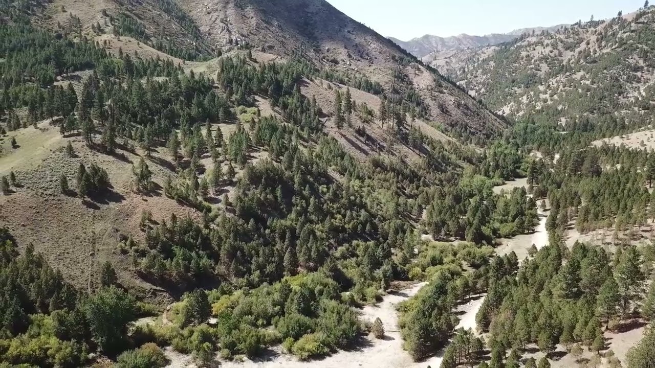 Off-Grid Idaho Land for Sale. 12+ Forested Acres with Creek. Full of Wildlife near Boise.