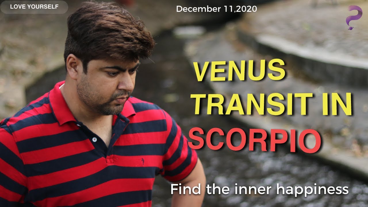Venus Transit in Scorpio || Find your True Love || Analysis by Punneit