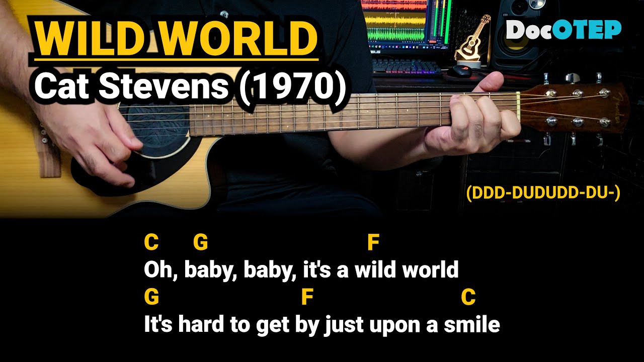 Wild World - Cat Stevens (1970) Easy Guitar Chords Tutorial with Lyrics