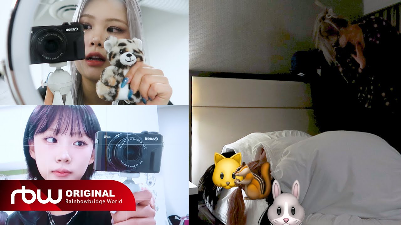 [P.P.T] Purki's POV📷 #1 | 퍼플키스(PURPLE KISS) 2024 BXX TOUR