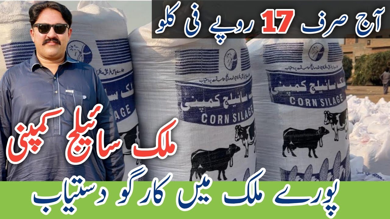 Make Silage in Pakistan Like a Pro with Malik Sailage Company!