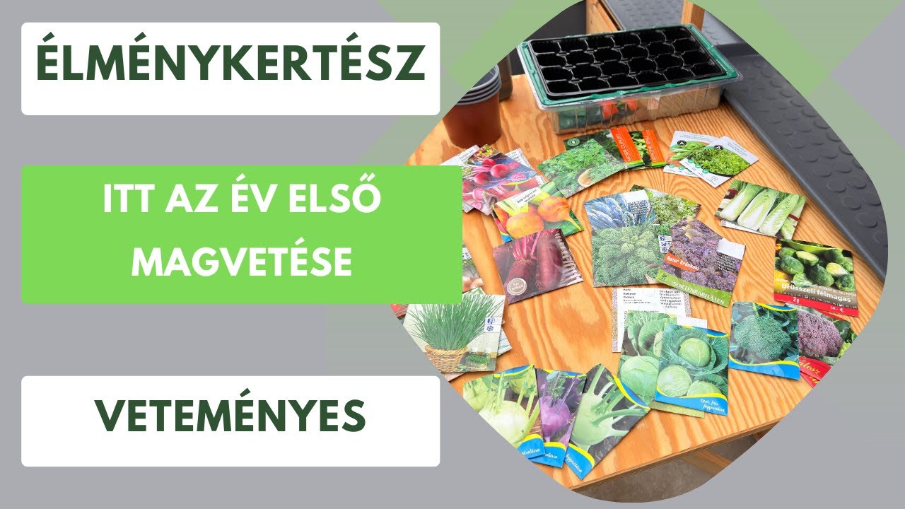 Itt az első vetés ideje! Mivel kezdjünk februárban?🌱