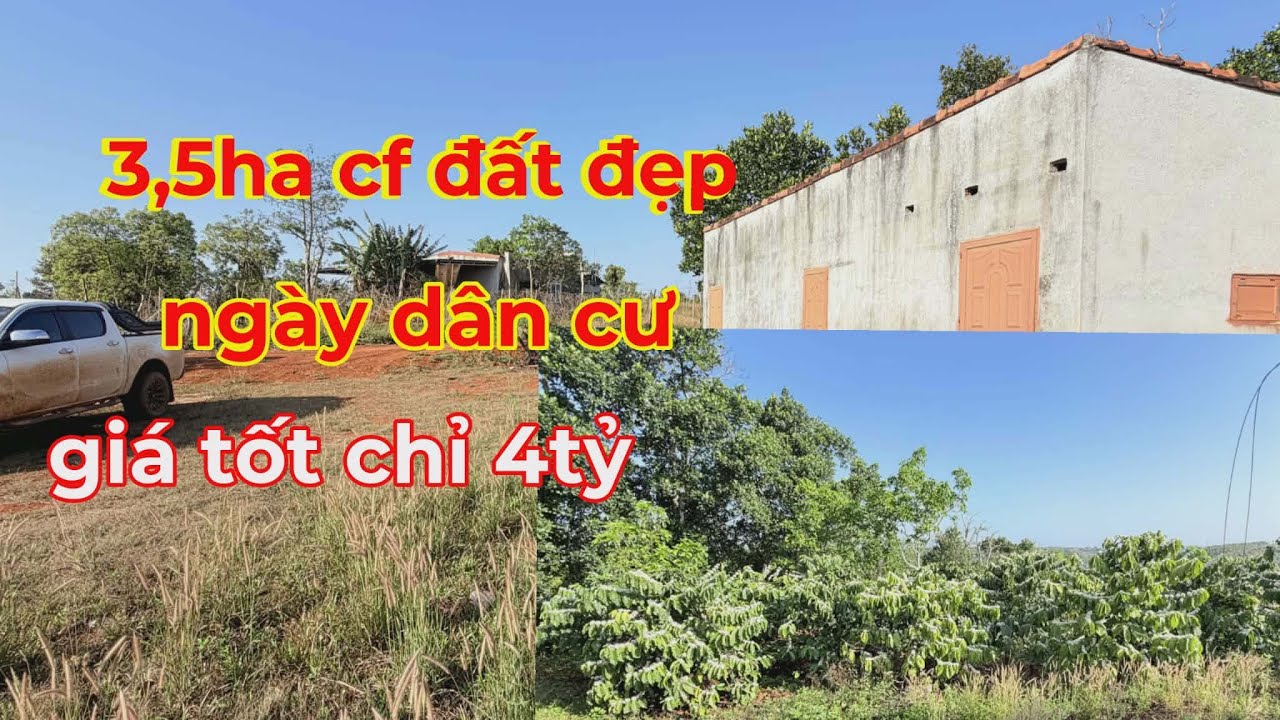 Bán 3,5ha cà phê sổ sách đầy đủ ,giá chỉ có 4tỷ tl lh 0366592989