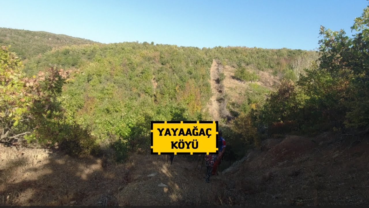 Şarköy Yayaağaç Köyü Doğa Yürüyüşü