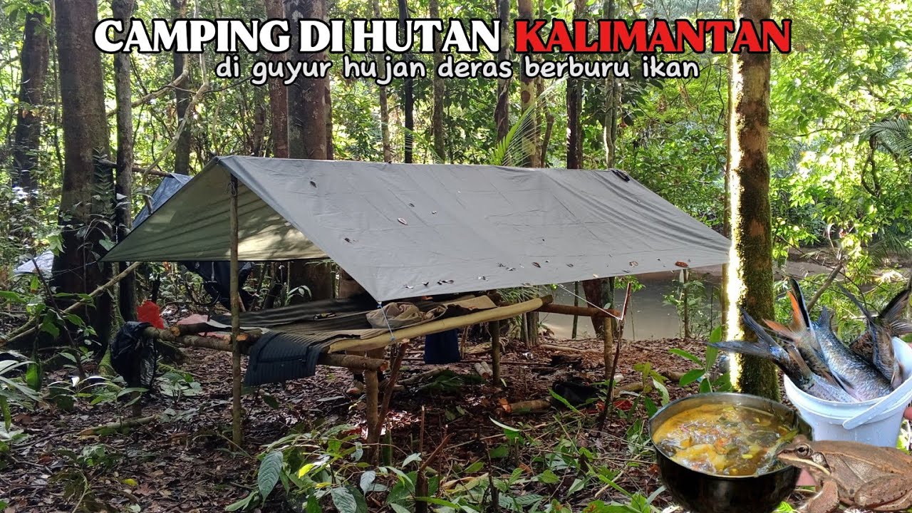 camping di hutan berburu ikan membuat shelter di guyur hujan deras mancing baung saat sungai keruh
