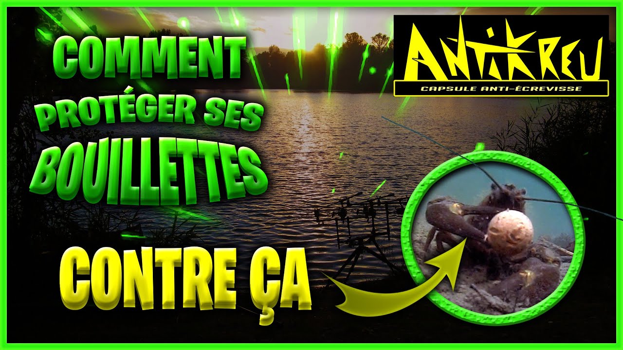 Comment protéger ses bouillettes contre les attaques d'écrevisses et poissons-chats ANTIKREU