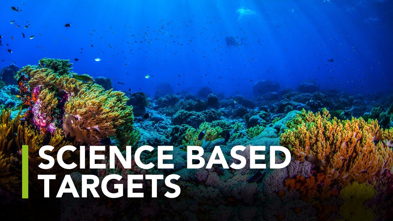 How To Tackle Biodiversity Loss