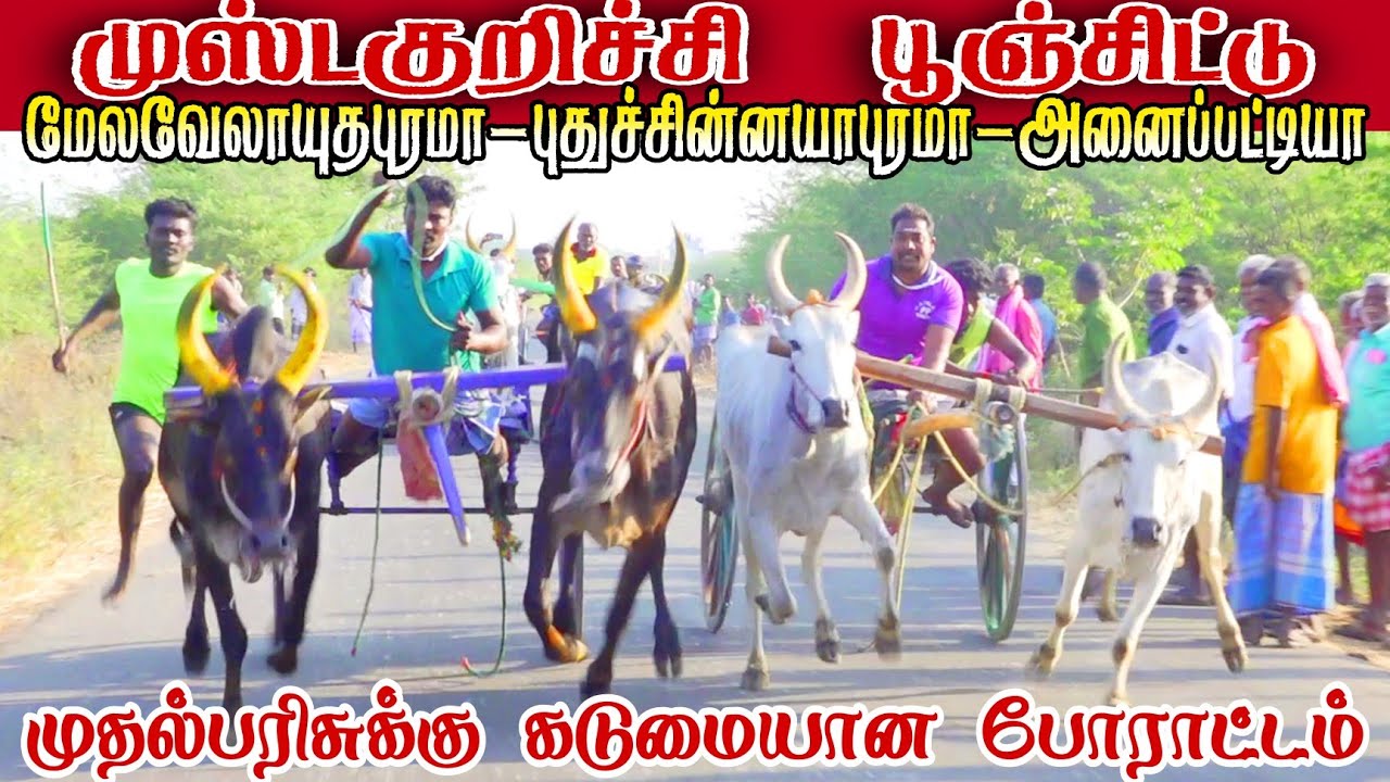 முஸ்டக்குறிச்சி பூஞ்சிட்டு பந்தயம்