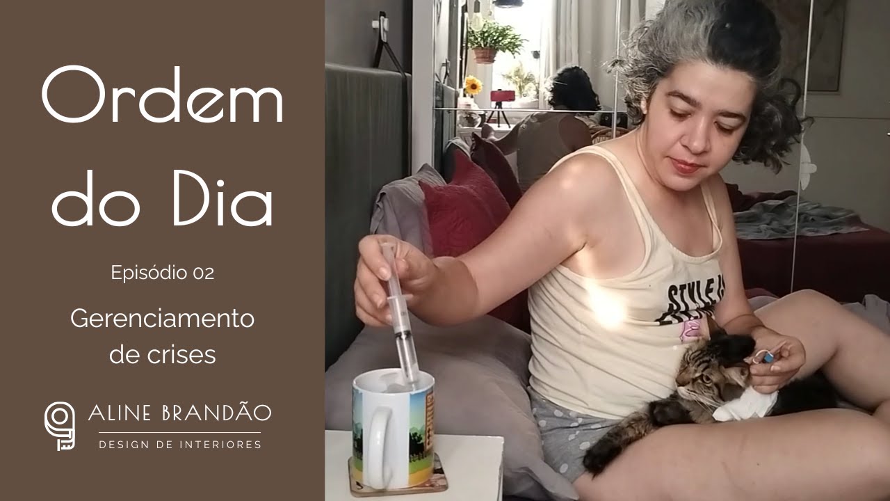 Ordem do Dia - Ep. 02 - GERENCIAMENTO DE CRISES - Limpando a casa enquanto a vida está um caos