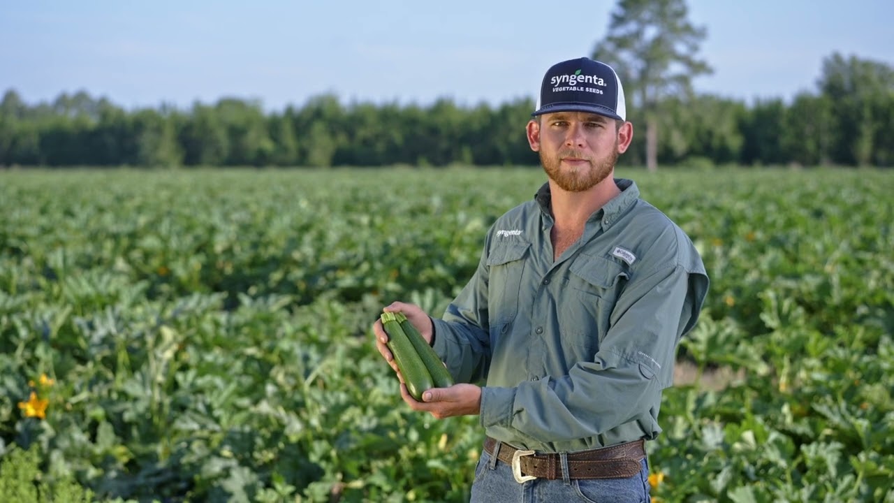 Easier Harvesting Squash Brings Potential Labor Savings