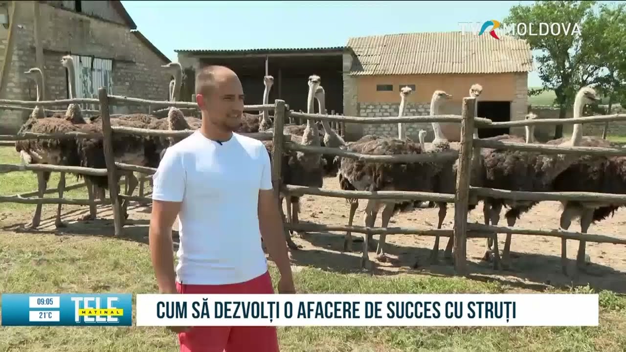 Ferma de Struți din Scumpia, Fălești.