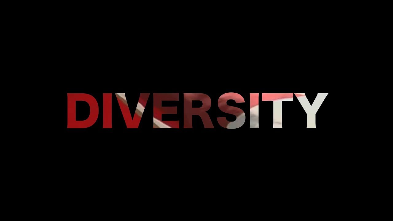 D I V E R S I T Y  DOCUMENTARY FILM