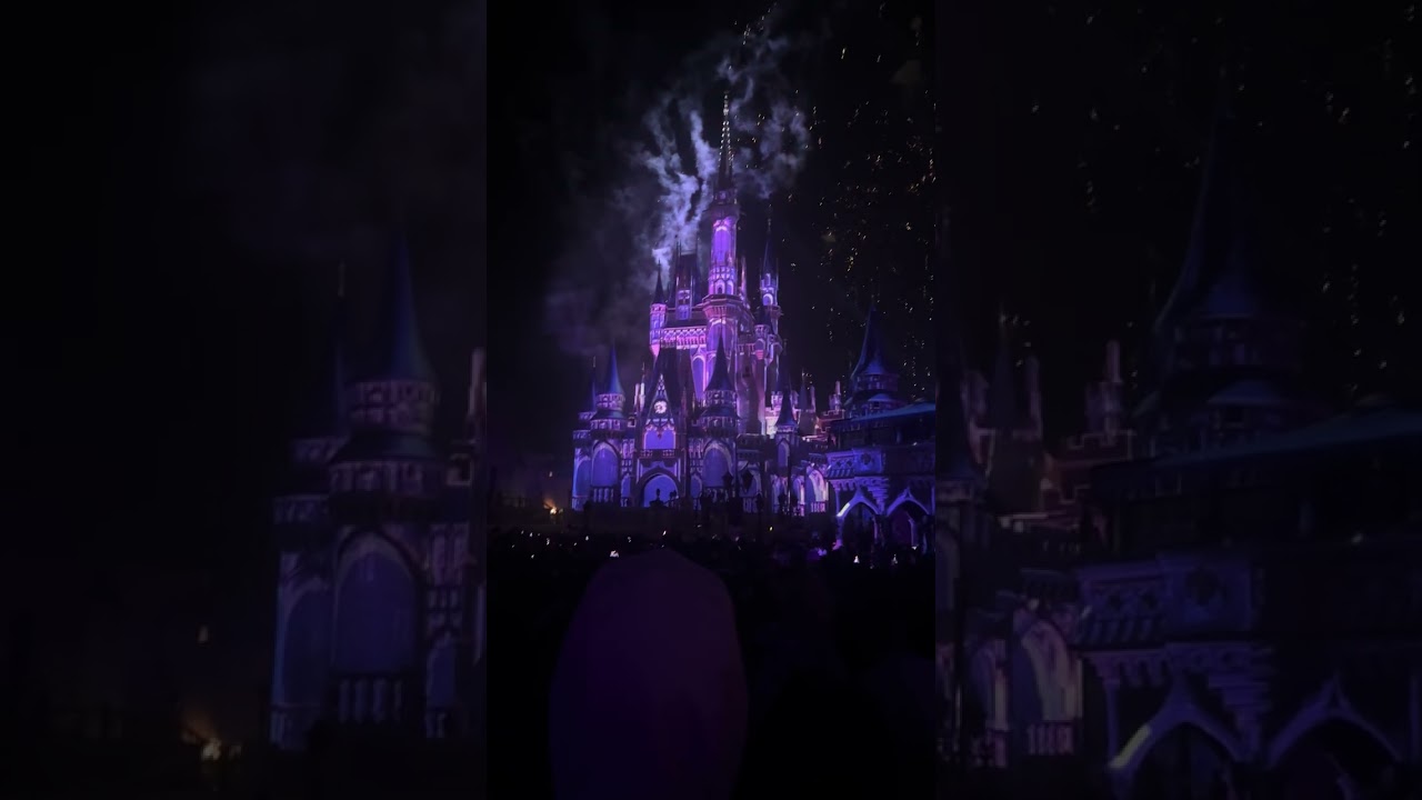 Disney World Light and Fireworks show March 17, 2026