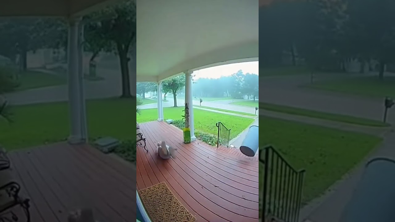 Grandma's Storm Warning Goes WRONG! 🌪️