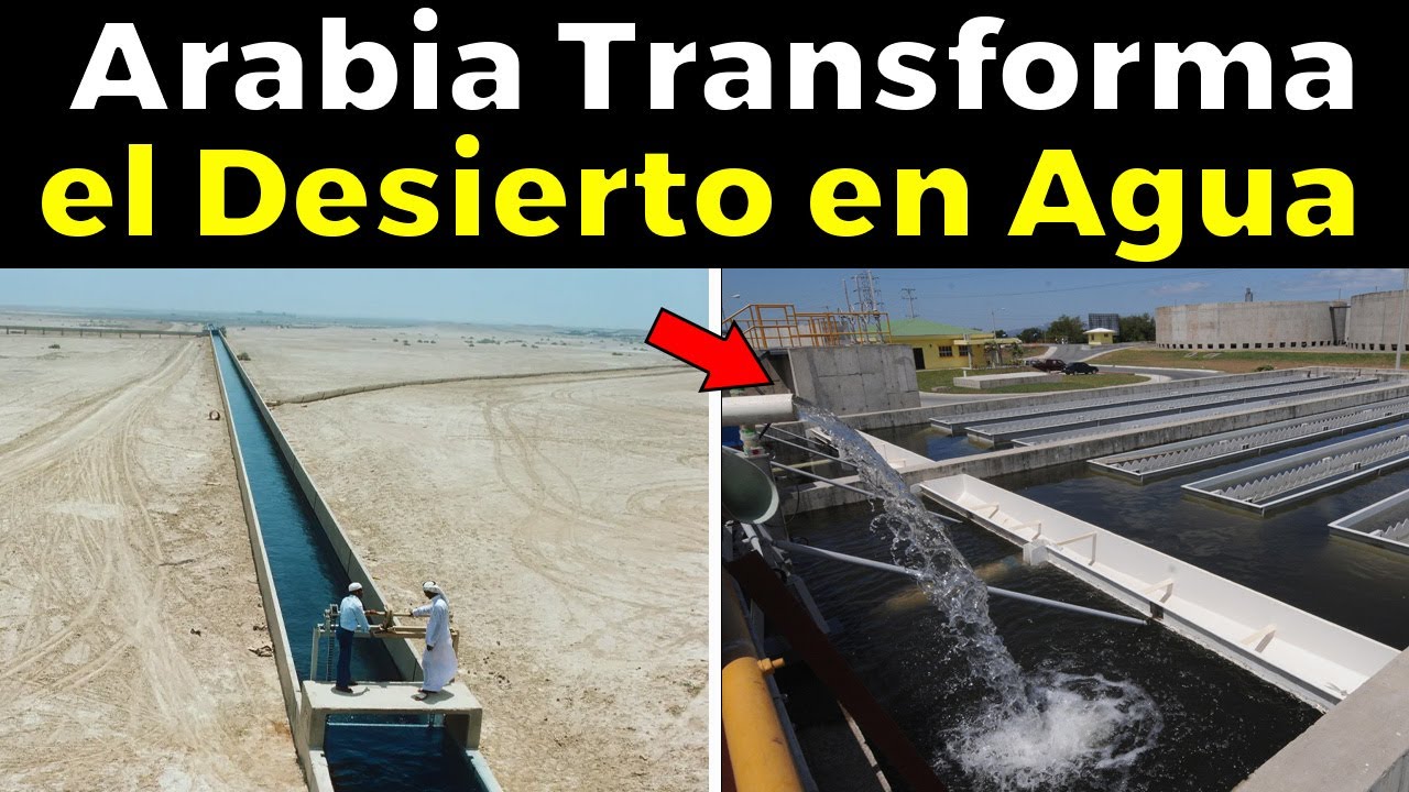 El “milagro del agua”, Cómo Arabia Saudita TRANSFORMA el desierto en AGUA