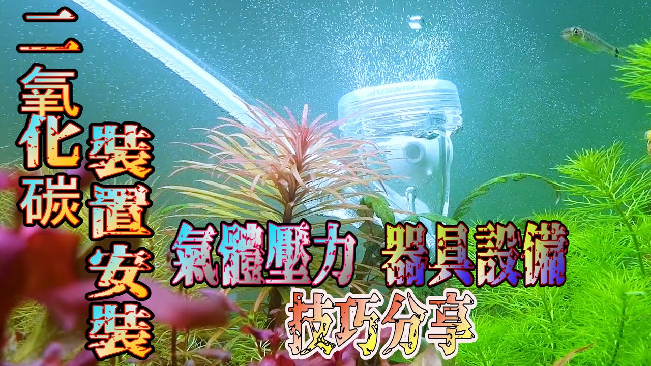 #水草設備資訊篇4~分享如何簡單安裝 水草缸需要的co2 避免發生管線爆炸~CO2 installation of water tank