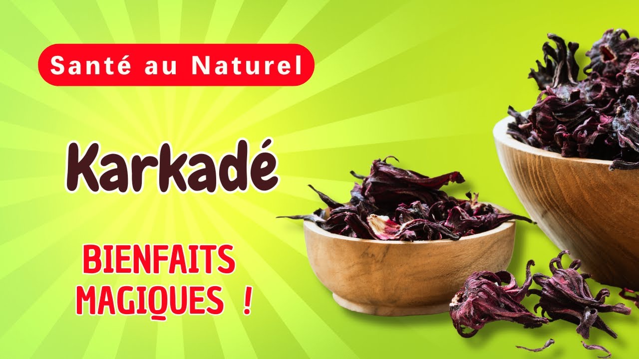 Pourquoi le Karkad&eacute; est-il la cl&eacute; magique pour am&eacute;liorer votre sant&eacute; et bien-&ecirc;tre au quotidien ?